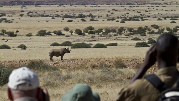 Desert Rhino Camp - Rhino Tracking